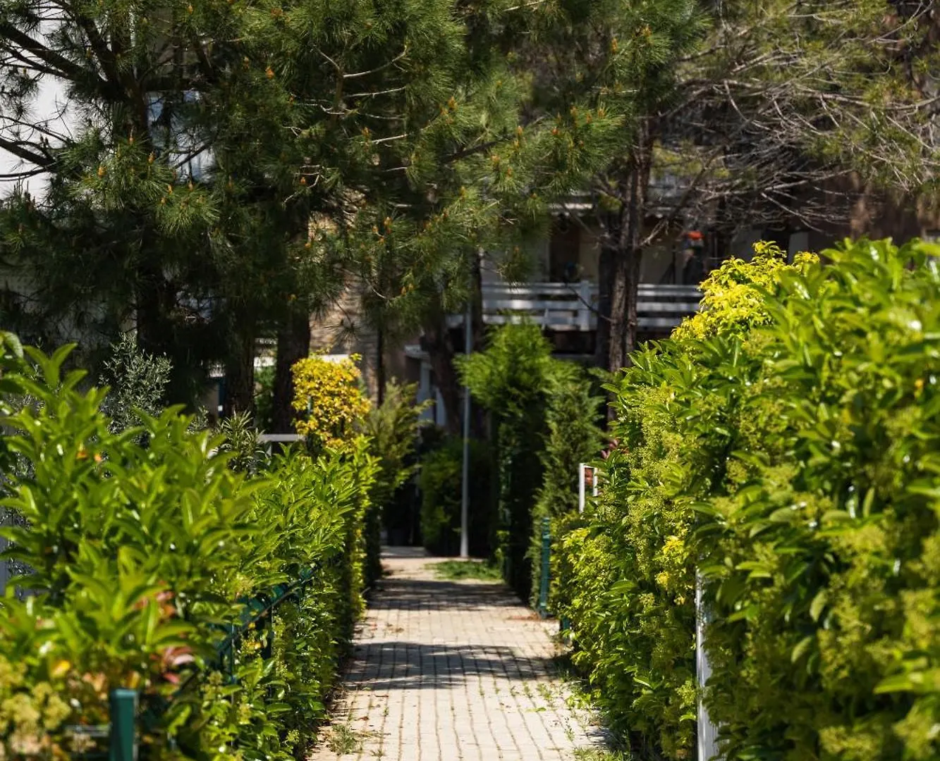 Gjiri I Lalzit - Savita Apartments - Kompleksi Turistik Lura 3 Plazhi San Pietro 0*,  Albania